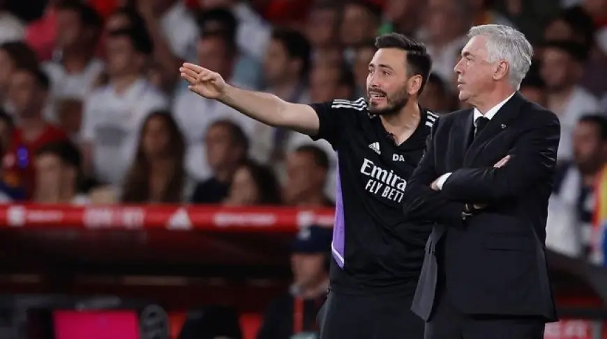 ماذا قال ديفيد أنشيلوتي قبل تدريب بوتافوجو؟
