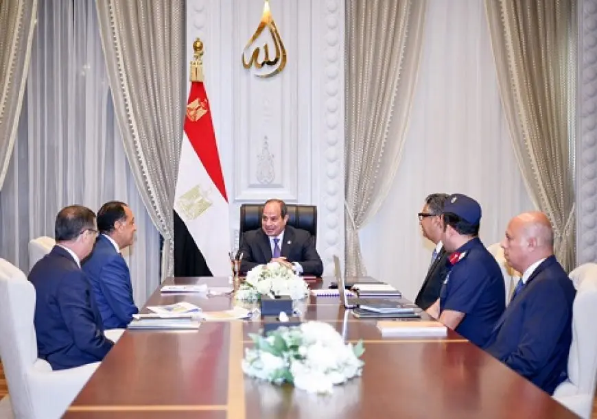 الرئيس السيسي يوجه بإطلاق سلسلة تجارية حكومية موحدة بالشراكة مع القطاع الخاص تحت مسمى Carry On