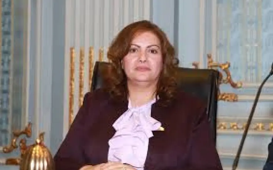 النائبة عايدة نصيف: مشروع المدينة الإنسانية في غزة خرق للقانون الدولي ومخطط لتنفيذ جريمة التهجير