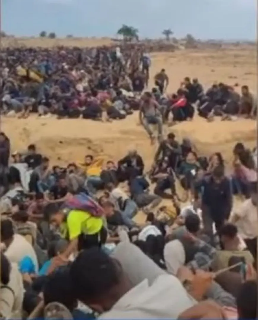 اليونيسف: الغزيون يُجوَّعون ثم يُقتلون.. والأوضاع الإنسانية بالقطاع كارثية