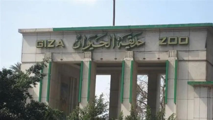 مدير الرابطة الأفريقية لحدائق الحيوان: عملية التطوير بحديقة حيوان الجيزة تتم من خلال رؤية واستراتيجية للانتقال للمستقبل