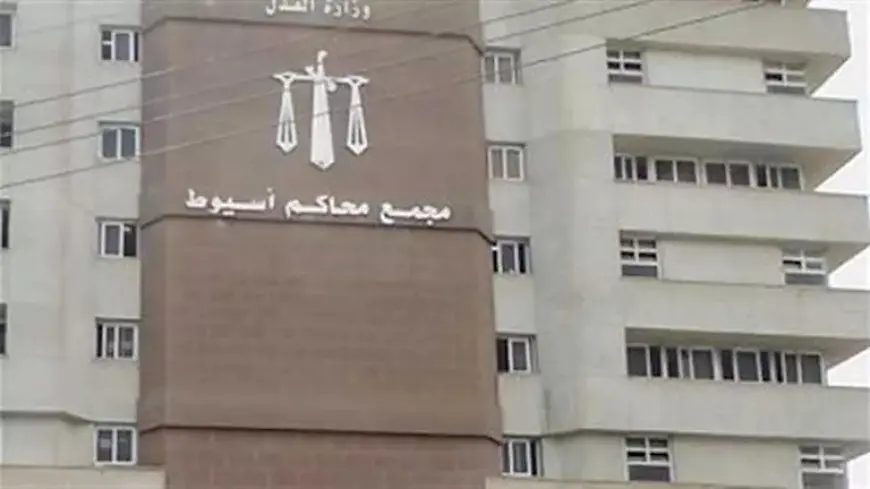 “ثأر البلايزة”.. تفاصيل “معركة الساطور” التي راح ضحيتها شقيقان بأسيوط