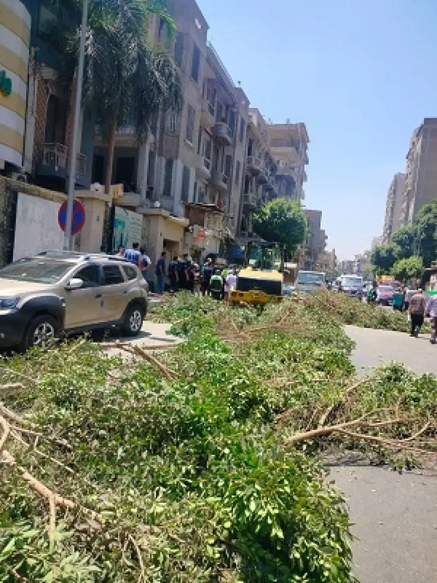 رفع الأشجار المتساقطة من شوارع الوايلي غرب القاهرة
