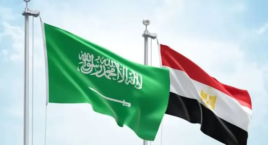 الحكومة: نعمل على جذب الاستثمارات من السعودية وإنشاء صندوق عقاري