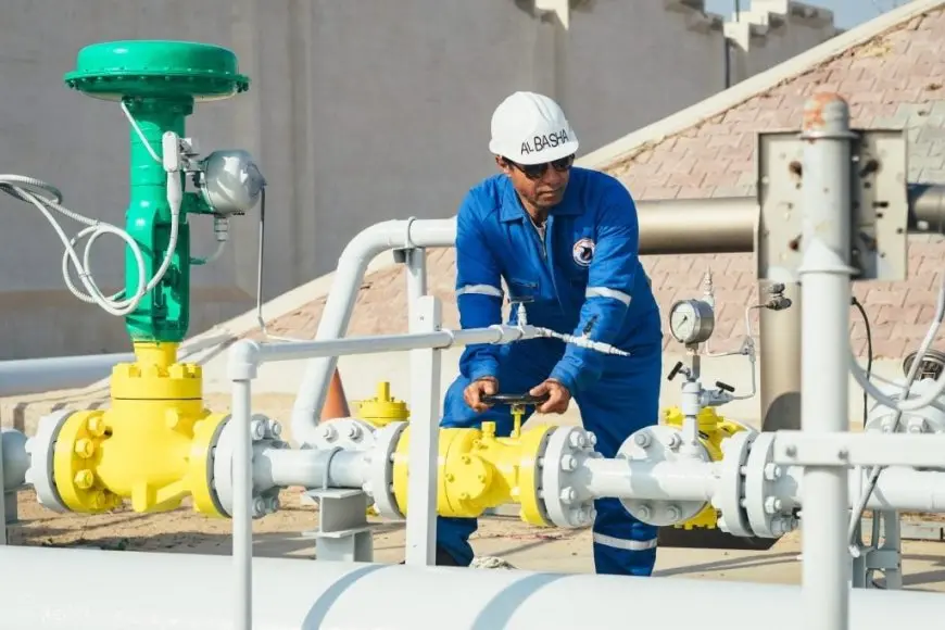دانة غاز: نتائج واعدة فى بئر بيجونا-2 باحتياطيات 9 مليارات قدم مكعب من الغاز