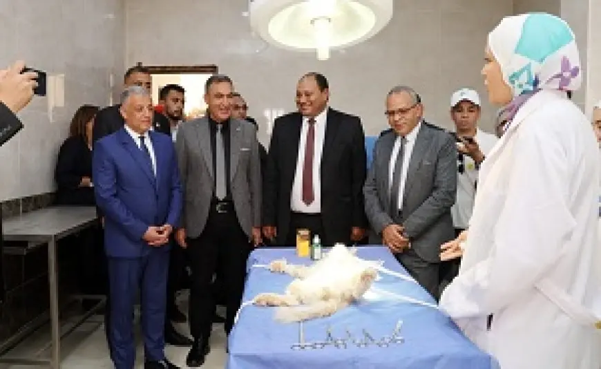رئيس الخدمات البيطرية لـ«الشروق»: نستهدف تطعيم 5 آلاف كلب ضد مرض السعار بالإسماعيلية