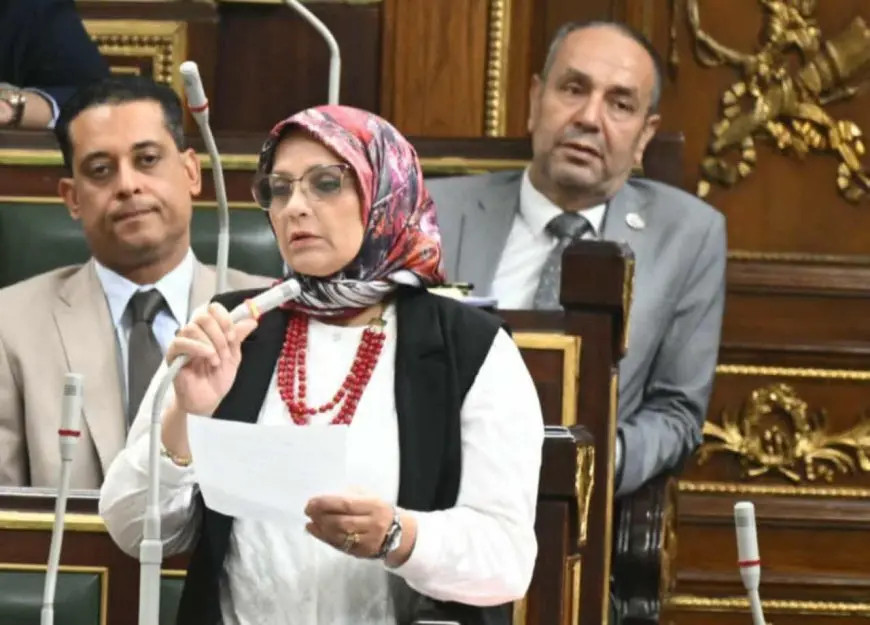 النائبة نجلاء العسيلي: كلمة الرئيس في ذكرى يوليو وثيقة وطنية تربط بين الماضي المجيد والمستقبل الواعد
