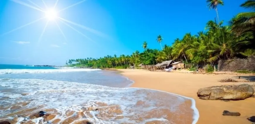 من اكتئاب الشتاء إلى حرارة الصيف..ما السر في تفضيل بعض الأشخاص لفصل عن الآخر؟