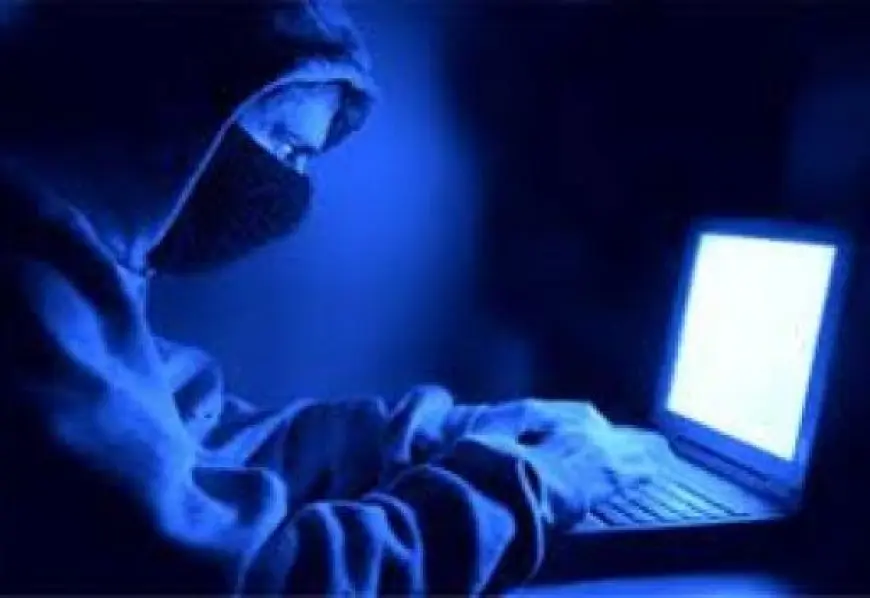 قراصنة يبثون مقطعا إباحيا خلال اجتماع لأحد المجالس الألمانية المحلية عبر الإنترنت