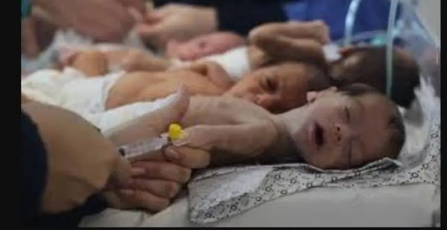 صحة غزة: 60 ألفا من الرضع مهددون بالموت.. والأطفال يصلون المستشفيات هياكل عظمية