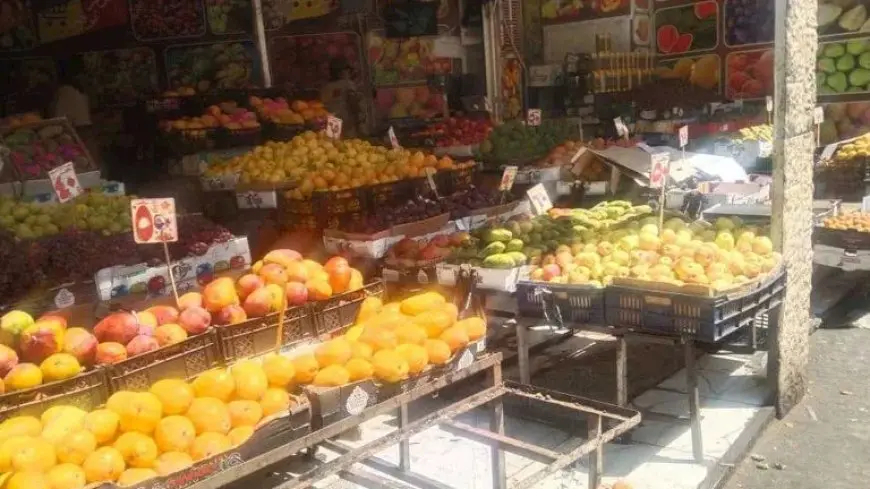 لا تشتروا في هذه الحالة.. توصيات شعبة الخضروات والفاكهة لمواجهة الغلاء
