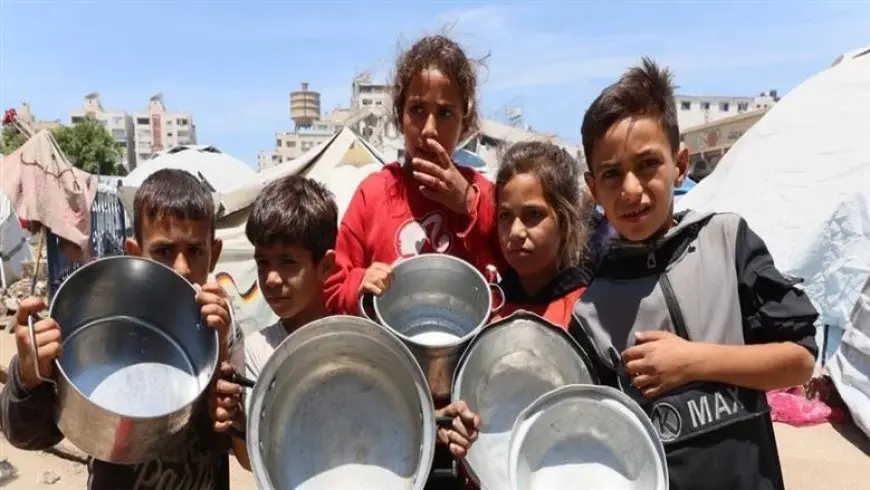 غزة تصرخ جوعا.. الهلال الأحمر الفلسطيني يطلق الإنذار الأخير