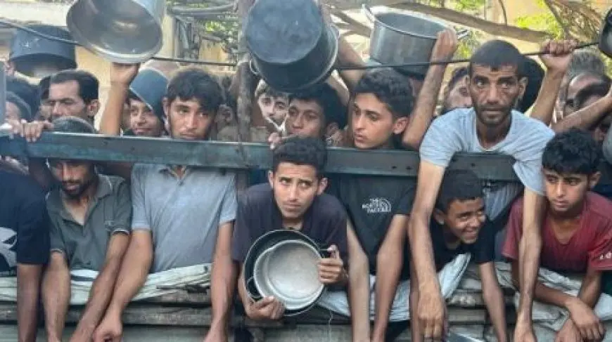 فلسطين: مظاهر المجاعة في غزة فاقت جميع التوقعات وسط عجز دولي غير مبرر
