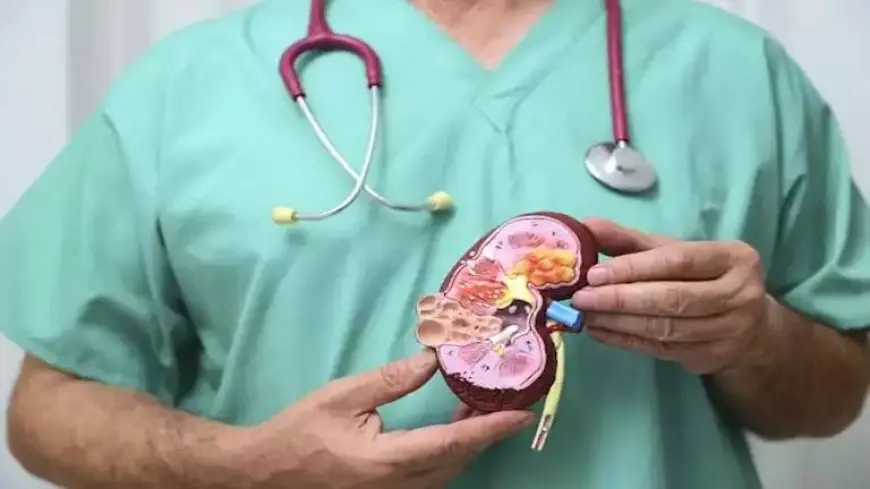 قد تبدو غير مهمة.. 7 أعراض أولية لـ سرطان الكلى