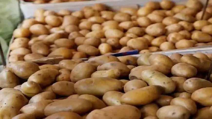 خريطة الأسعار اليوم: ارتفاع البطاطس والدقيق وانخفاض الذهب