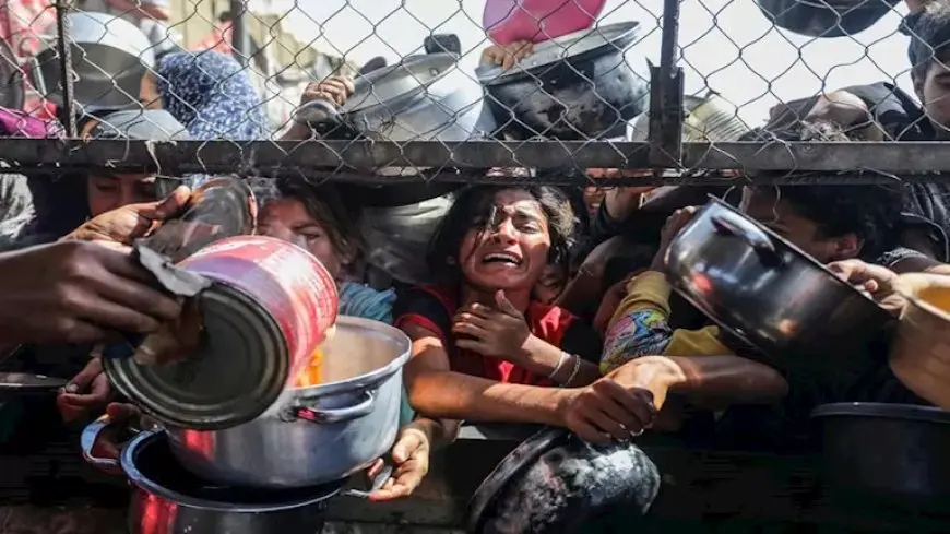بعد اتهام ميليشيا أبو شباب.. من يسرق المساعدات في غزة؟