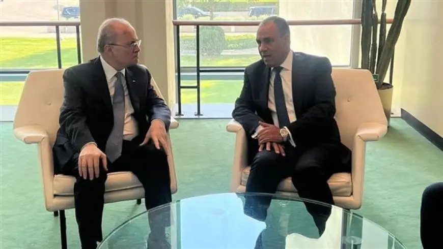 وزير الخارجية يؤكد على استمرار مصر في جهودها الحثيثة للوساطة للتوصل لاتفاق لوقف إطلاق النار