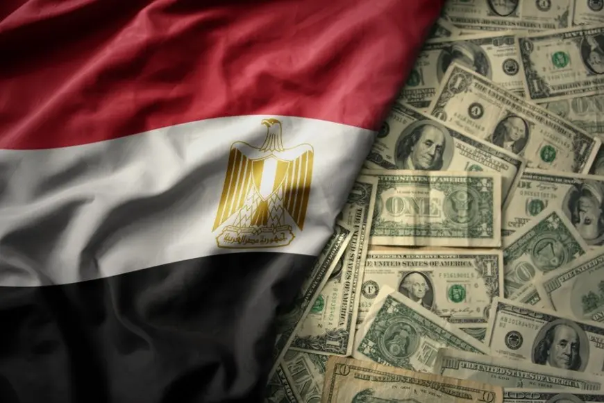 التمويل الدولية: ضمانات بـ150 مليون دولار لدعم الموردين في مصر و7 دول أفريقية