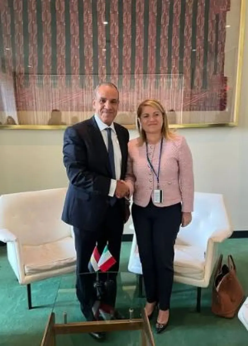 وزير الخارجية يؤكد أهمية الاستفادة من الزخم المصاحب لمؤتمر التسوية السلمية لقضية فلسطين