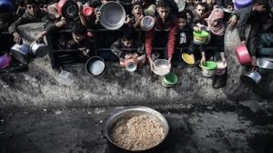 هيئة دولية رائدة في مجال أزمات الغذاء: أسوأ سيناريو للمجاعة يحدث حاليا بغزة