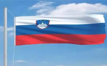 لأول مرة.. دولة أوروبية تعلن حظر تجارة الأسلحة مع إسرائيل