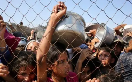 إسبانيا تعتزم إرسال مساعدات غذائية عاجلة تكفي لـ11 ألف شخص في غزة