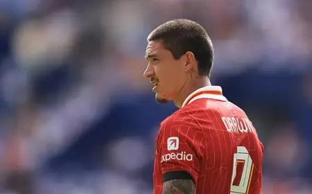 إنزاجي يحسم موقفه من ضم نونيز