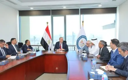 وزير البترول يبحث مع شركات عالمية ومحلية مشروع المسح الجوي لتحديث بيانات الثروات التعدينية بمصر