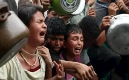 ألمانيا تُقدّم مساعدات إضافية لمكافحة الجوع في غزة