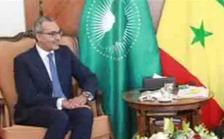 سفير مصر بالسنغال: التصويت في بعثنا بداكار يسير بسلاسة وانتظام ووسط أجواء وطنية