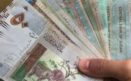 تدهور قياسي.. ارتفاع الواردات يعمق أزمة الجنيه السوداني 