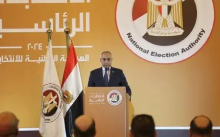 الوطنية للانتخابات: رصدنا كثافات تصويتية بالدول العربية.. والمصريون على قلب رجل واحد