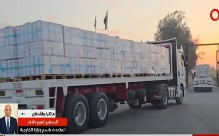 الخارجية: المظاهرات التي تحاول تشويه صورة مصر لا تخدم سوى إسرائيل