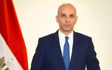 متحدث الخارجية: التظاهرات التي تحاول تشويه صورة مصر لا تخدم سوى الاحتلال