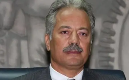 رئيس المنظمة المصرية لحقوق الإنسان: مشاركة الجاليات بالخارج في انتخابات الشيوخ تؤكد الانتماء الوطني