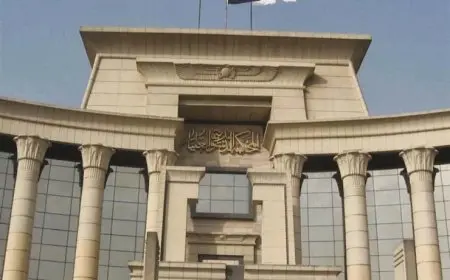 حكم بعدم دستورية قرار وزاري بإنهاء عقود الوكالة التجارية لمجاوزته حدود القانون