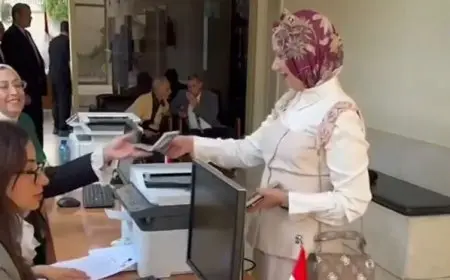 المستشار أحمد بنداري يشكر المصريين بالخارج: لم نتوقع هذا الإقبال للتصويت بانتخابات مجلس الشيوخ