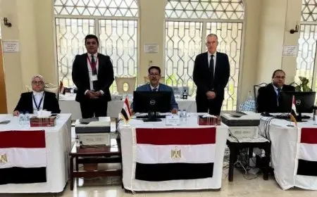 الهيئة العامة الاستعلامات: 86 مؤسسة إعلامية عربية وعالمية تشارك في تغطية انتخابات مجلس الشيوخ