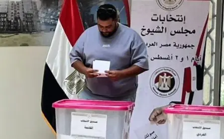 الوطنية للانتخابات: اليوم الثاني لانتخابات مجلس الشيوخ في الخارج يسير بانتظام ودون عوائق