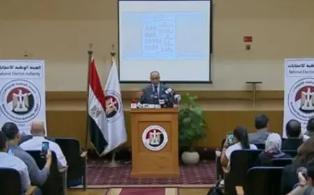 انتخابات مجلس الشيوخ.. سفير مصر في الدنمارك: نتوقع إقبالا أكبر من الناخبين اليوم