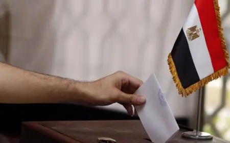 انتخابات مجلس الشيوخ.. رئيس بيت المصريين بالسويد: نطالب بإتاحة التصويت عبر البريد