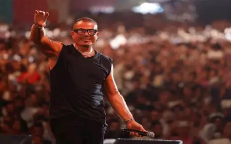 حفل أسطوري .. عمرو دياب يحقق أعلى حضور جماهيري في مهرجان العلمين