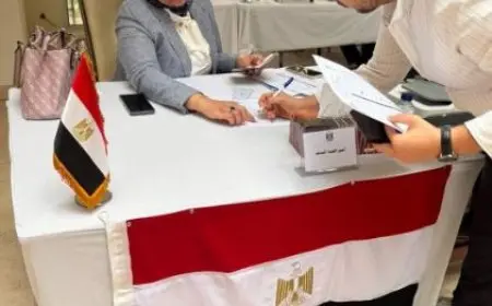 رئيس الجالية المصرية باليونان: توافد كبير على لجان انتخابات الشيوخ