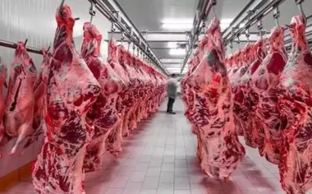 بعد تأكيد الحكومة تجاوز الأزمة.. هل الأسعار في طريقها للانخفاض؟