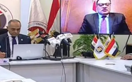 انتخابات مجلس الشيوخ.. سفير مصر لدى التشيك: نتوقع إقبالا أكبر خلال الساعات المقبلة