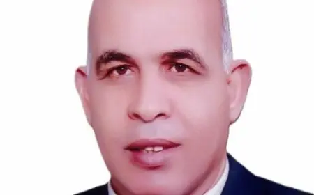 وزير التعليم العالي يكلف الدكتور إسماعيل القن قائما بأعمال رئيس جامعة كفر الشيخ