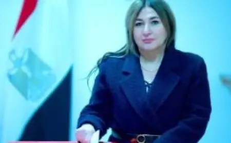 انتخابات مجلس الشيوخ.. القنصل العام المصري في هامبورج: تنازلنا عن ساعة الراحة لخدمة الناخبين