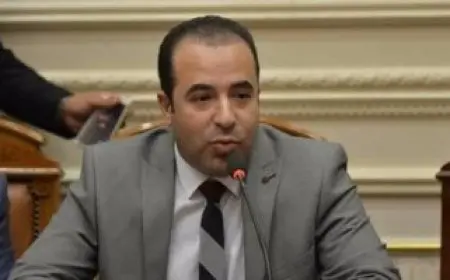 رئيس اتصالات النواب: القانون يسمح بحجب تيك توك في مصر