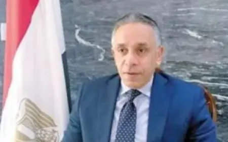 انتخابات مجلس الشيوخ.. سفير مصر في لبنان: العملية تسير بشكل طيب بفضل وعي المواطن