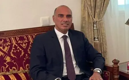 انتخابات مجلس الشيوخ.. سفير مصر في جيبوتي: العملية منتظمة والأمور تسير على ما يرام